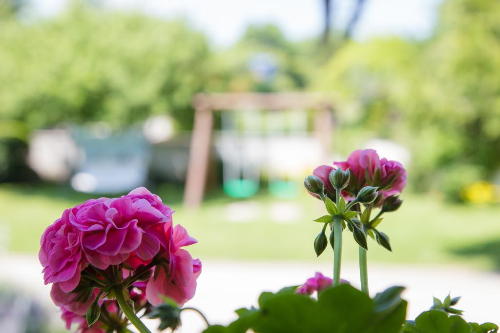 Apartmant & Room Bruna Dreznik Grad ภายนอก รูปภาพ